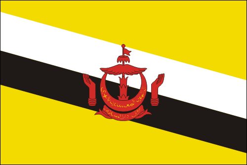 PAVILLON BRUNEI 20X30cm ETAMINE