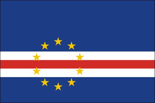 PAVILLON CAP VERT 20X30cm ETAMINE