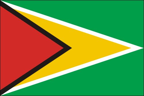 PAVILLON GUYANA 30X45cm ETAMINE