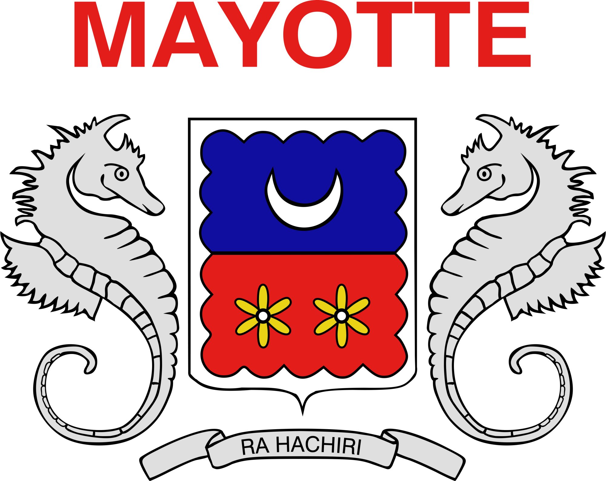 PAVILLON  MAYOTTE CIVIL FLAG 20X30cm ETAMINE