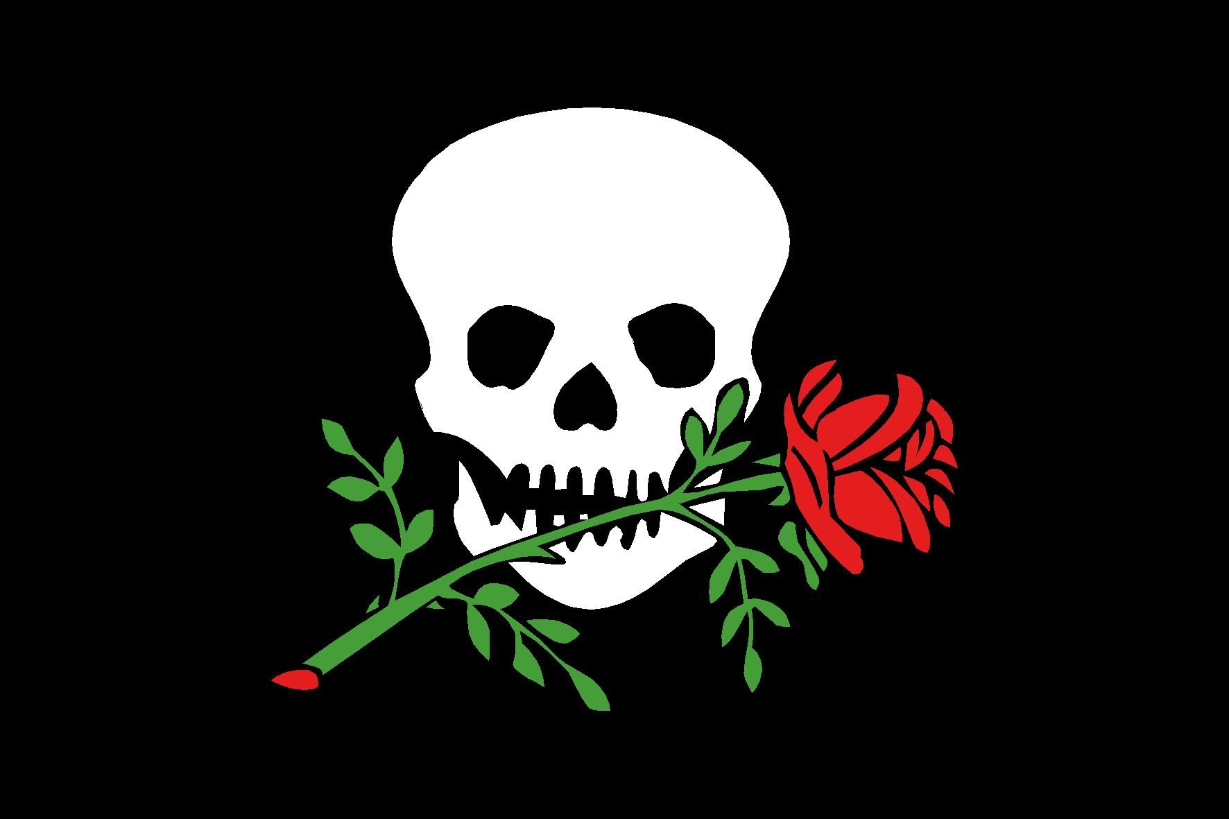 PAVILLON PIRATE CRANE et ROSE 20X30cm ETAMINE