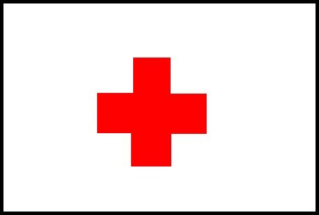 PAVILLON CROIX ROUGE 30x45cm ETAMINE SPECIAUX