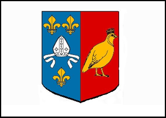 PAVILLON AUNIS / SAINTONGE BLASON 30x45cm ETAMINE  PROVINCE REGION