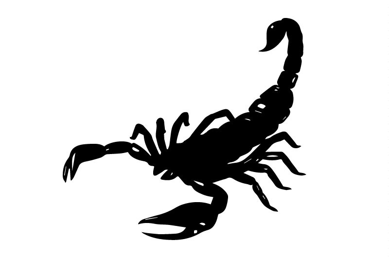 PAVILLON SCORPION  30X45 CM FANTAISIE ETAMINE