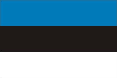 PAVILLON ESTONIE 20X30cm ETAMINE