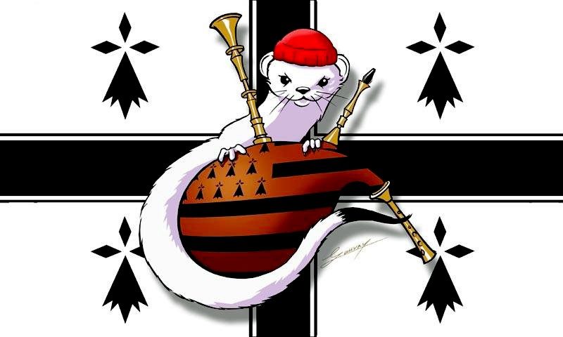 PAVILLON HERMINE BRETONNE BONNET ROUGE 30x45cm MAILLE