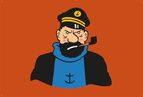 PAVILLONS CAPITAINE HADDOCK 30x45cm ETAMINE FANTAISIE