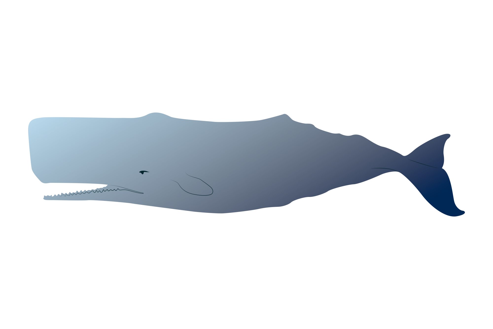 PAVILLONS  CACHALOT 30x45cm ETAMINE FANTAISIE