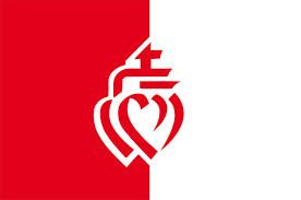 PAVILLON VENDEE 20x30cm ETAMINE PROVINCE REGION