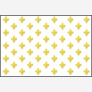 PAVILLON FRANCE ROYALISTE LYS 100x150cm MAILLE SPECIAUX