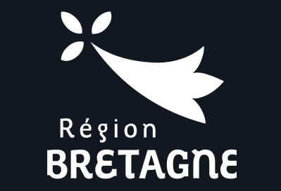 PAVILLON REGION BRETAGNE NOIR 30x45 cm ETAMINE PROVINCE REGION