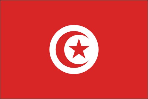 PAVILLON TUNISIE 20X30cm ETAMINE