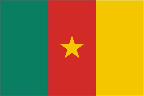 PAVILLON CAMEROUN 20X30cm ETAMINE