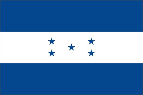 PAVILLON HONDURAS 20X30cm ETAMINE